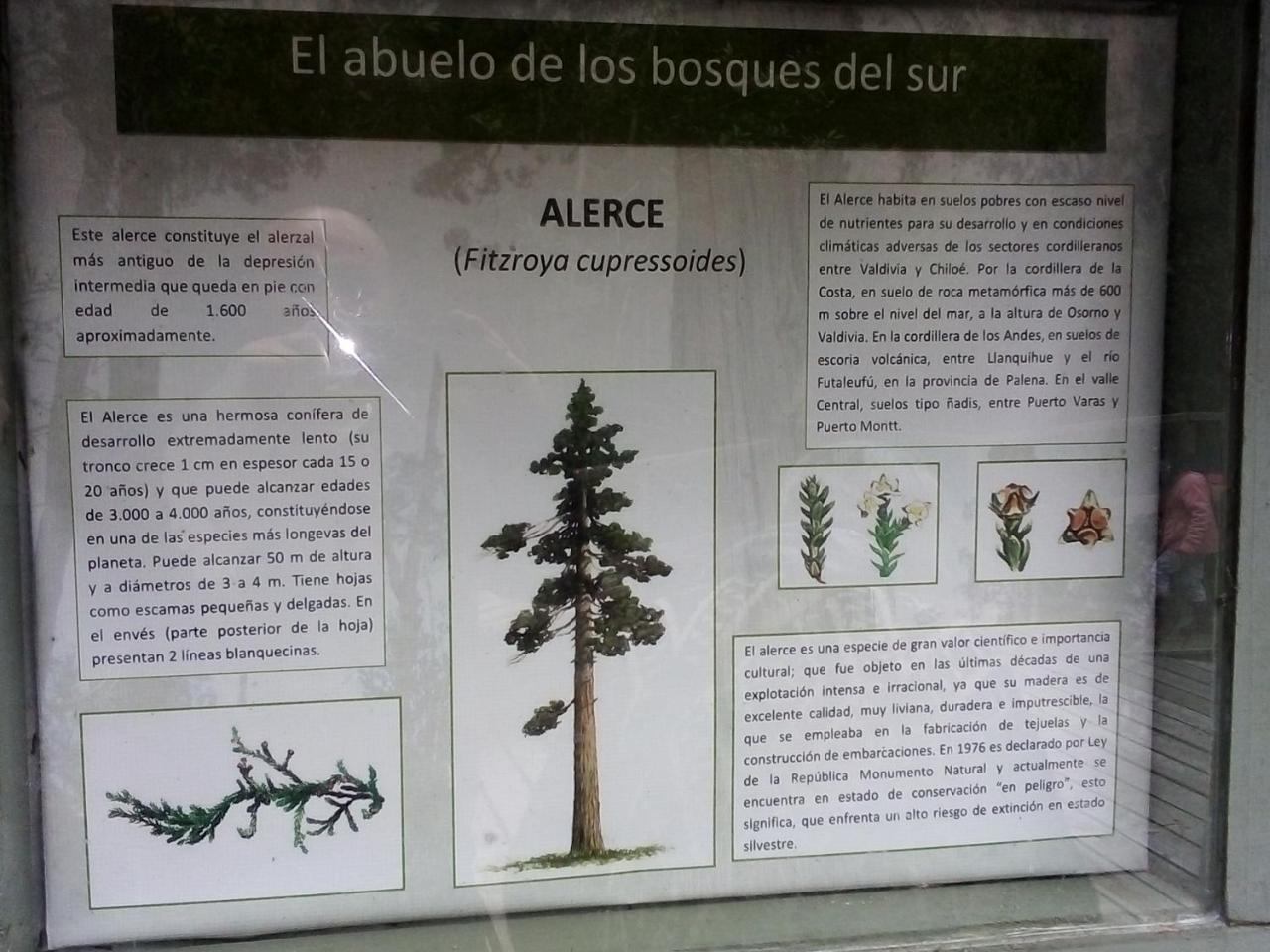 Alojamento Cabanas Isidora Tepual Puerto Montt