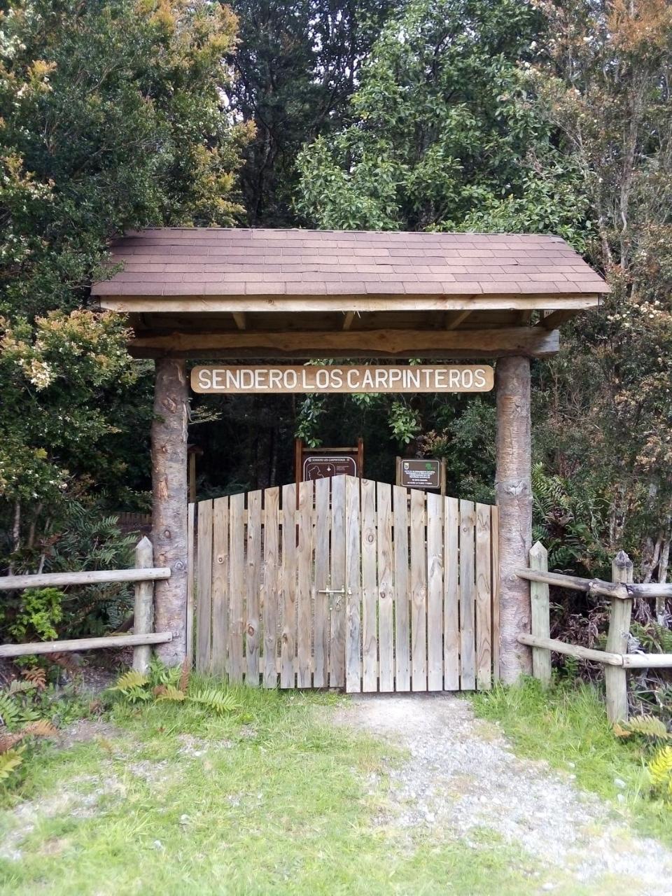 Cabanas Isidora Tepual *