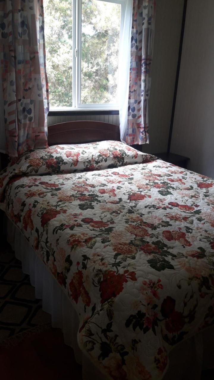 Cabanas Isidora Tepual