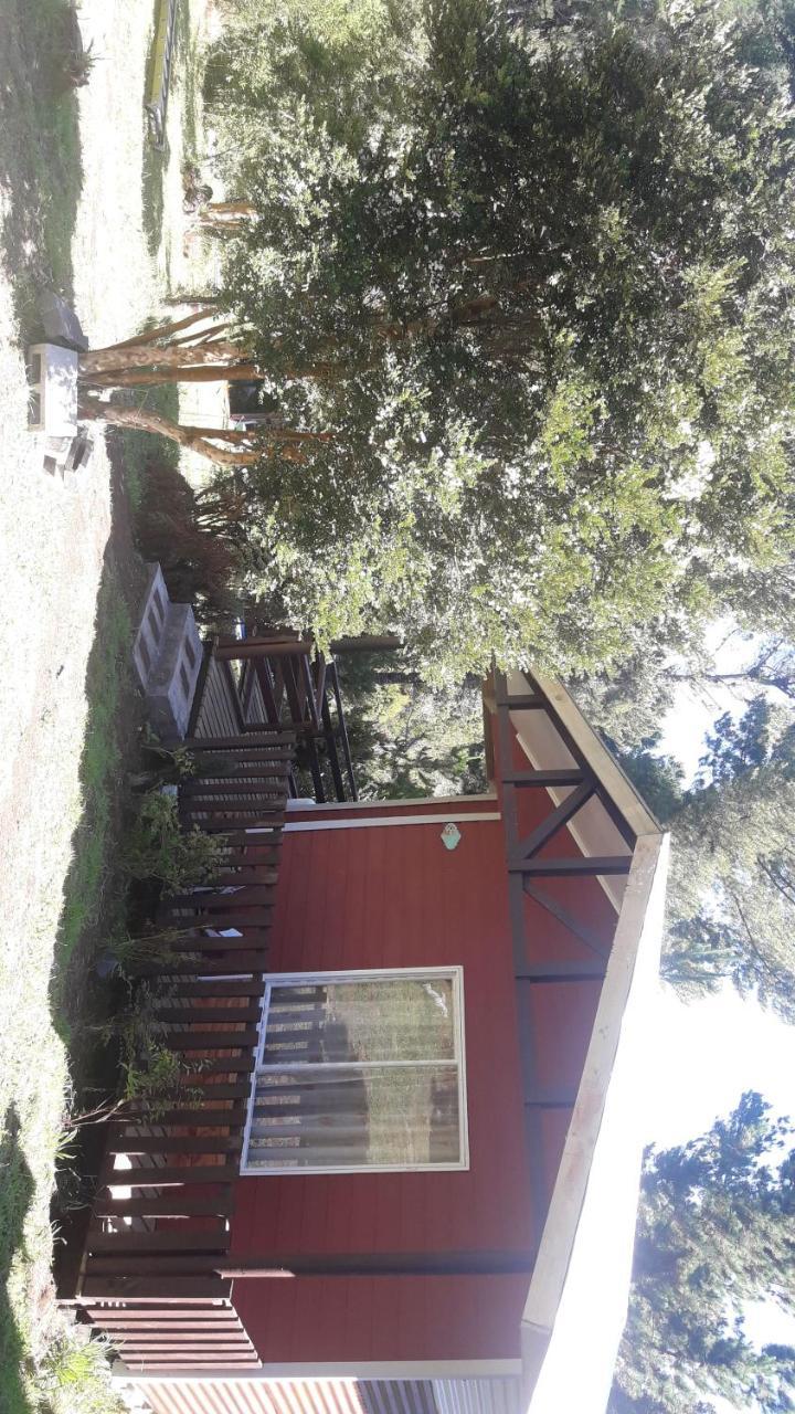 Cabanas Isidora Tepual Alojamento *