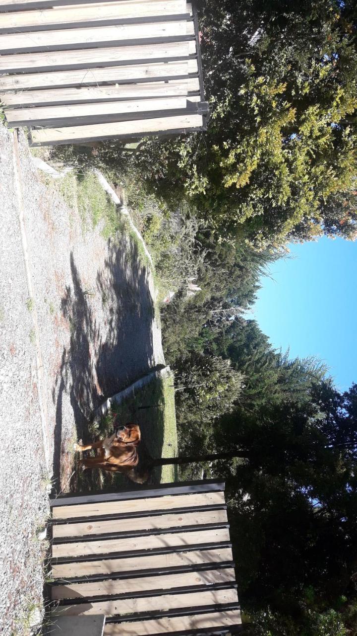 Cabanas Isidora Tepual Alojamento