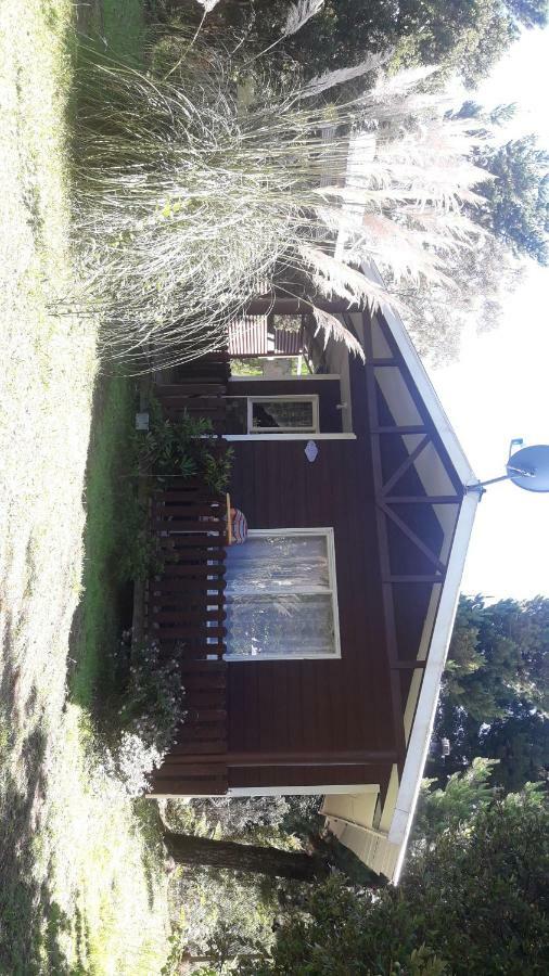 Cabanas Isidora Tepual Puerto Montt