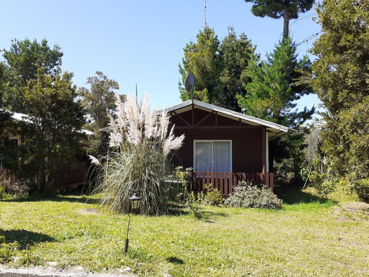 Cabanas Isidora Tepual Alojamento *