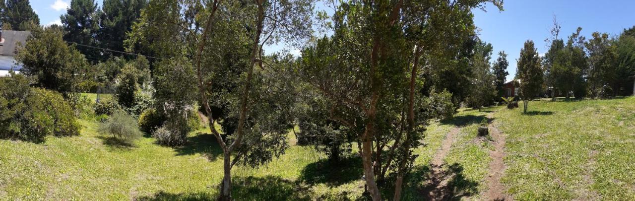 Cabanas Isidora Tepual *